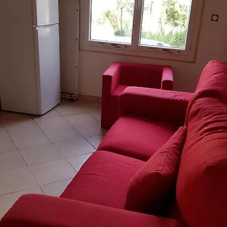 Appartement T2 Albigeois